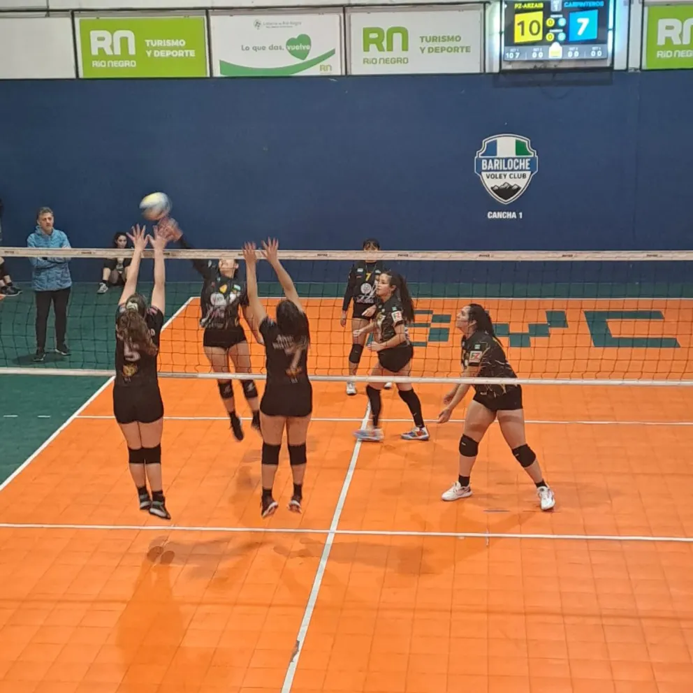 Carpinteros del Sur disputará este sábado el partido para conseguir el ascenso en el voley regional.