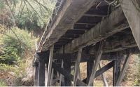 Puente peatonal del Correntoso: aún no se definió cómo se realizará la restauración