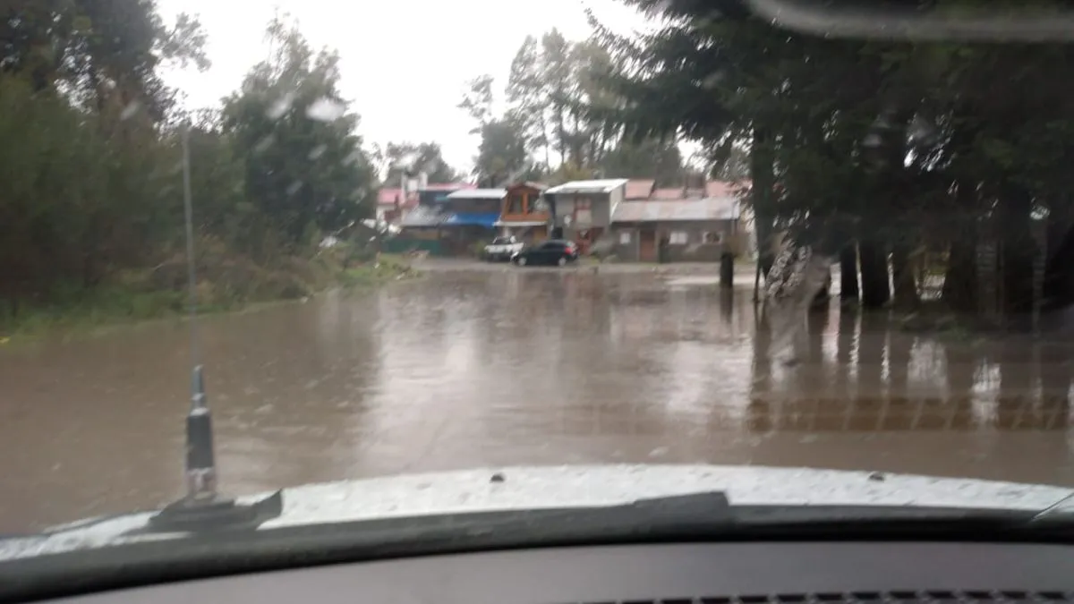 Temporal: Videos compartidos por los propios vecinos | Diario Andino  Digital de Villa La Angostura y La Patagonia