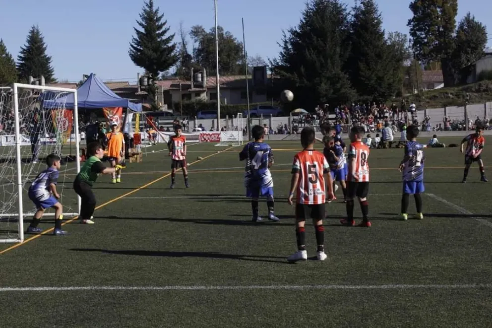 Provincia lanza un curso de "Formación integral del Deportista" modalidad online