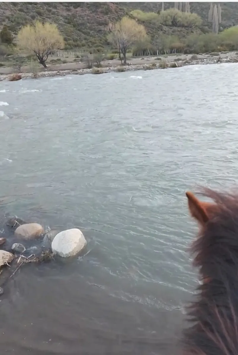 Cruzaban el río Cuyín Manzano a caballo cuando volvían de la escuela