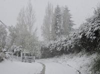 Inusual nevada cubrió de blanco Villa la Angostura