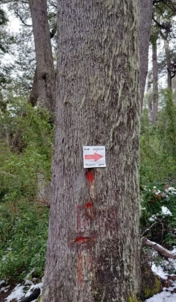 K 42: aún queda basura en el circuito y aseguran que es de la organización de la carrera