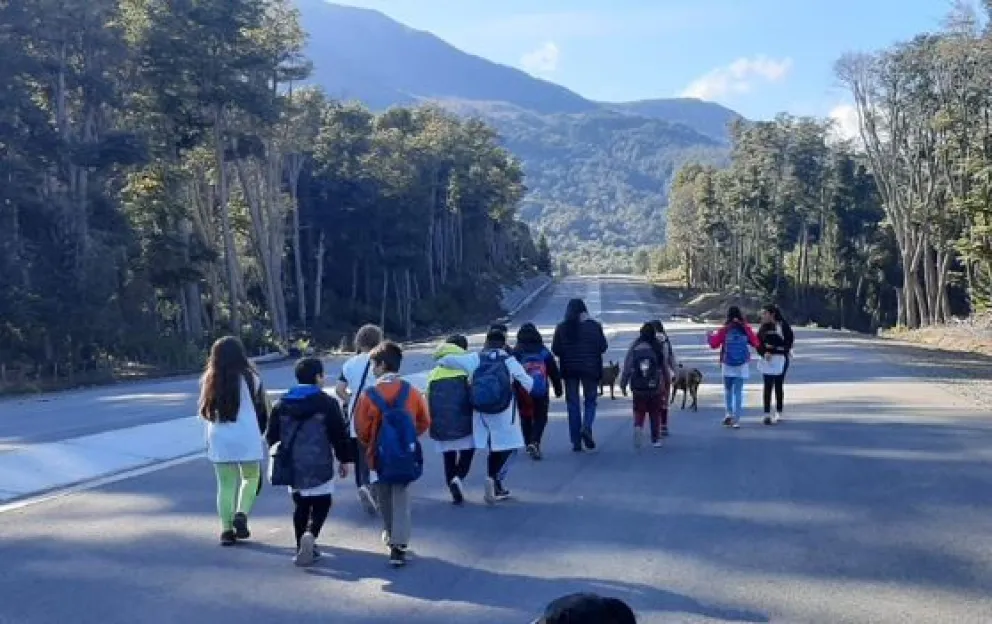 Grupo Árbol: los niños aprenden lo que vivien 