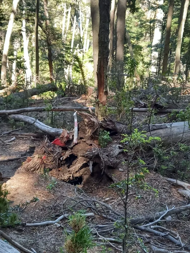 La Secretaría de Planeamiento detectó una posible usurpación de un terrenos municipales en Manzano