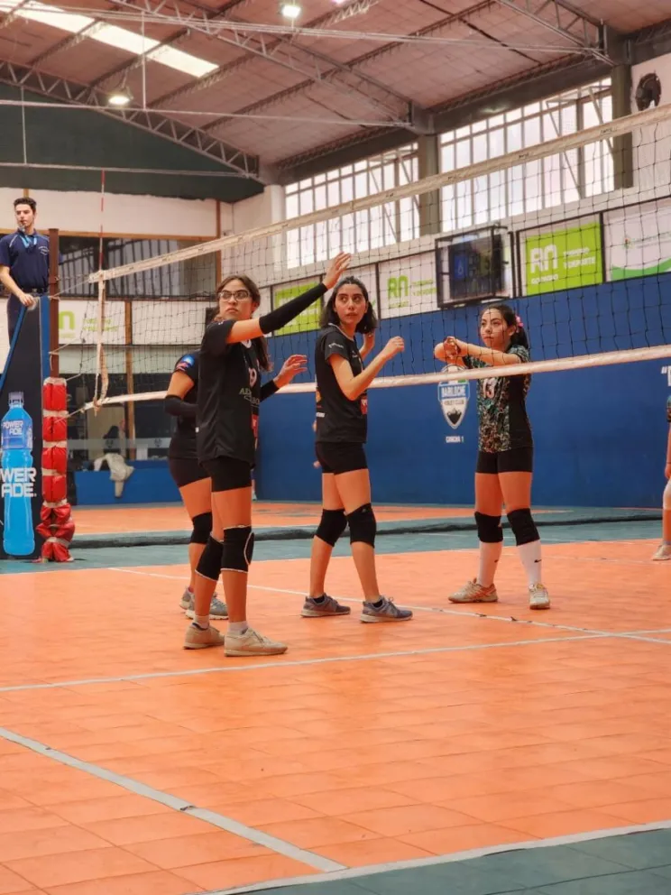 Se juega la Copa Carpinteros del Sur de voley formativo con participación internacional