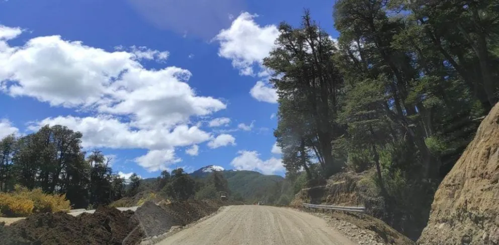 Ruta 7 Lagos: Tras las obras de contención y limpieza, Vialidad habilitó la  circulación