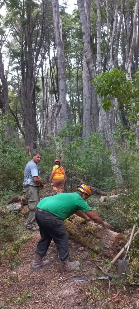 Avanza con la apertura de un Nuevo sendero a la plaza del Brazo Última Esperanza