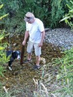 Anónimamente y en soledad, un vecino limpió el cauce del arroyo Las Piedritas