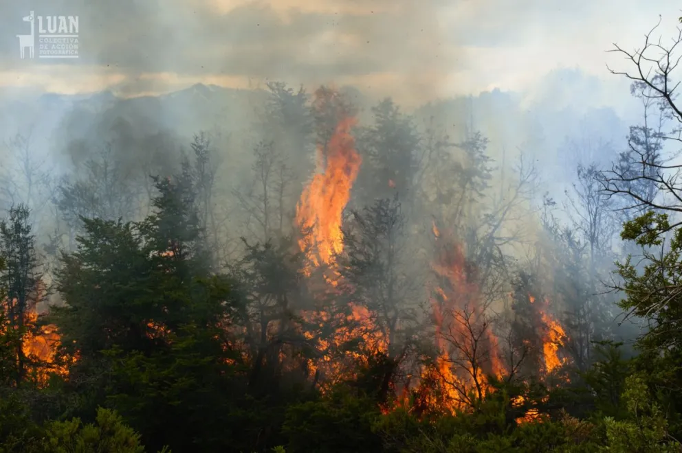 Parques Nacional recordó las medidas preventivas para evitar incendios forestales