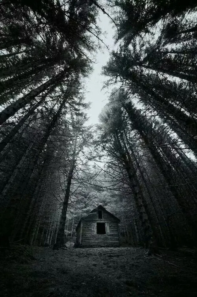 Grupo Árbol: Lecturas Nutritivas del mes de octubre