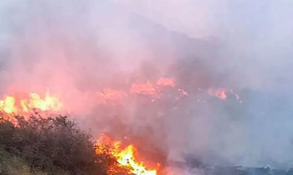 Por el viento, se descontroló el incendio en La Rinconada y cortaron ruta 40, cerca de Junín de los Andes