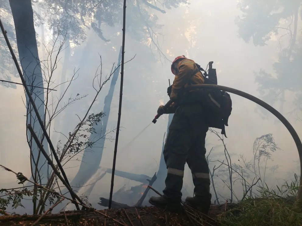 Incendio en Brazo Tristeza: ya son 600 las hectáreas afectadas y no hay pronóstico de lluvias