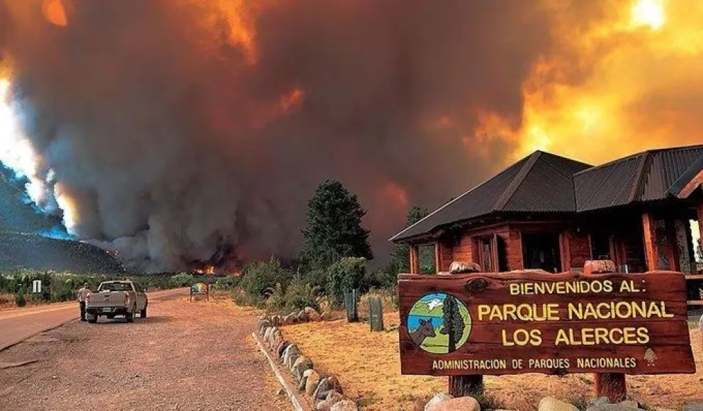 $5 millones a quien aporte por datos concretos sobre los incendios en Parque Los Alerces