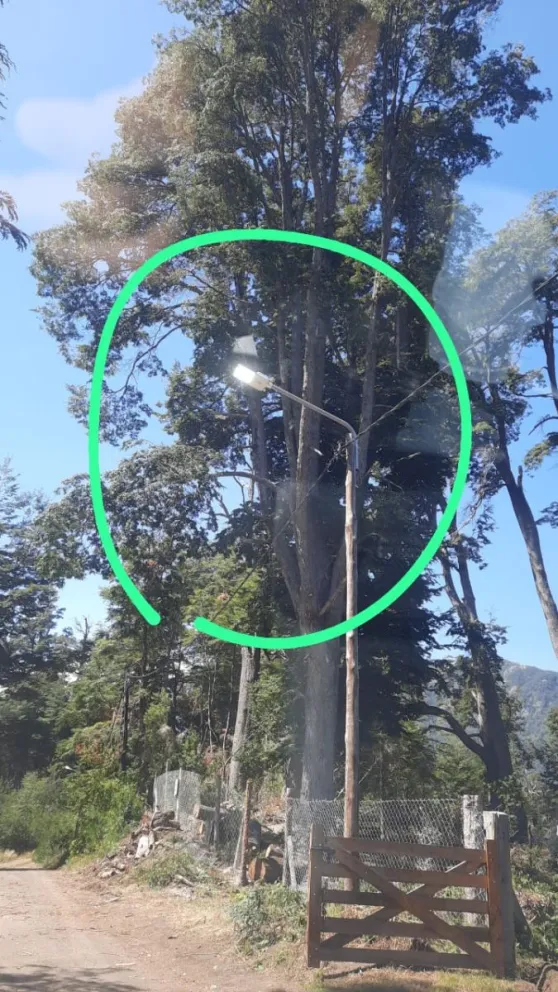 Clic Urbano: ¿Las luminarias tienen que estar prendidas todos los días a las 3 de la tarde?