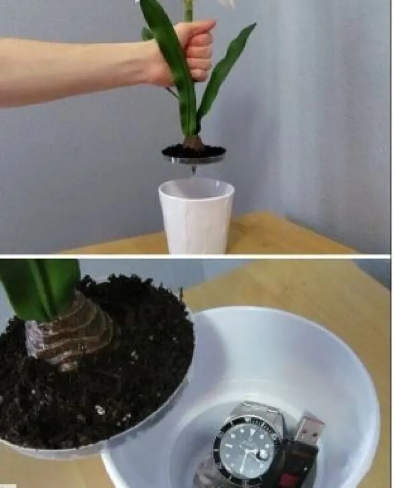 Ingeniosos escondites caseros 