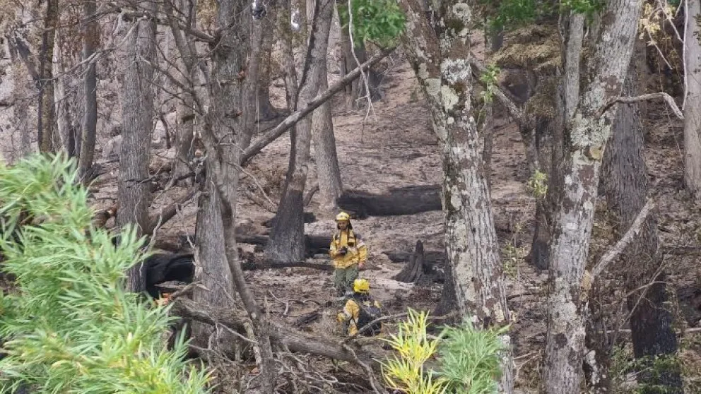 Incendio en el parque Nahuel Huapi: avanzan las tareas de investigación para averiguar qué causó el incendio y qué consecuencias genera.