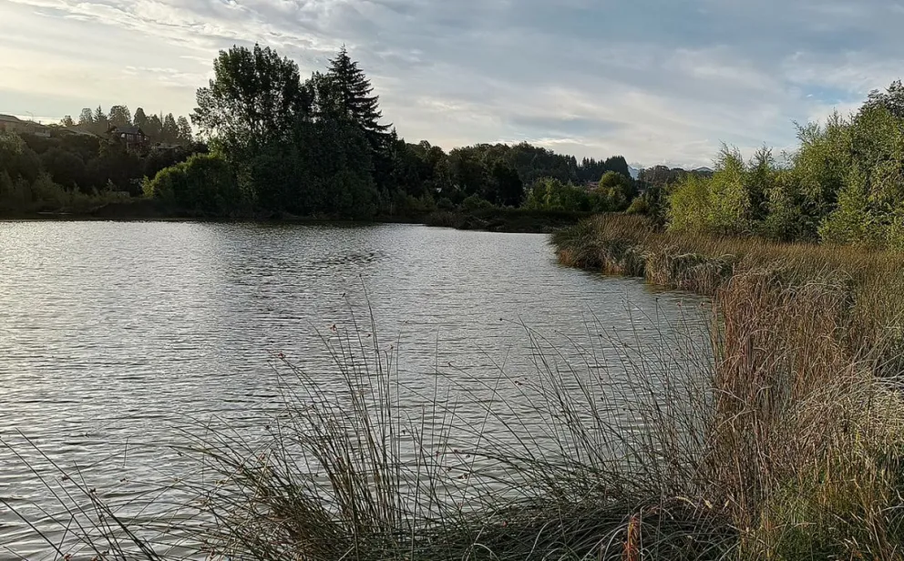 La Laguna Calafate, en el centro de una mirada crítica y comprometida de alumnos de la Esc 186