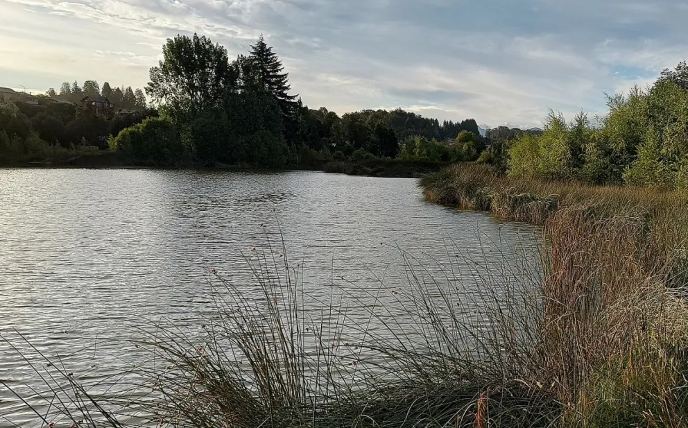 EPAS llamó a concurso de precios, pero la obra de conexión del hospital a la planta de tratamiento, no avanza  