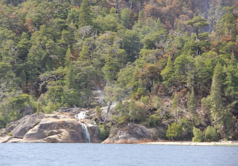 Incendio en Brazo Tristeza: se mantiene estable y controlado
