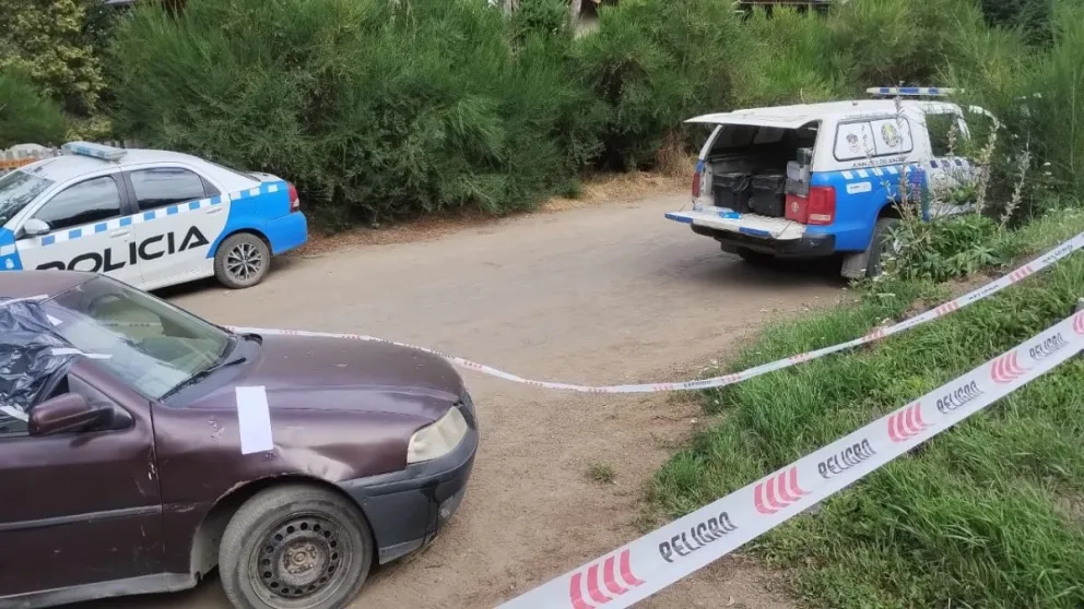 El ladrón fallecido, había sido liberado horas antes de la comisaría, donde estuvo demorado por una contravención menor