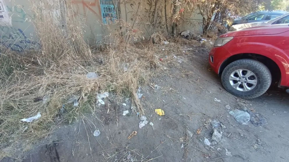 Clic urbano: “De esto no tiene la culpa la municipalidad, esto es una cuestión de educación”