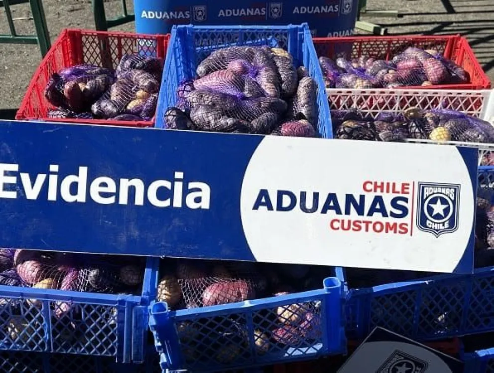 Detectan contrabando de papas en el Paso Fronterizo Cardenal Samoré