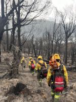 Está “detenido” el incendio en Brazo Tristeza