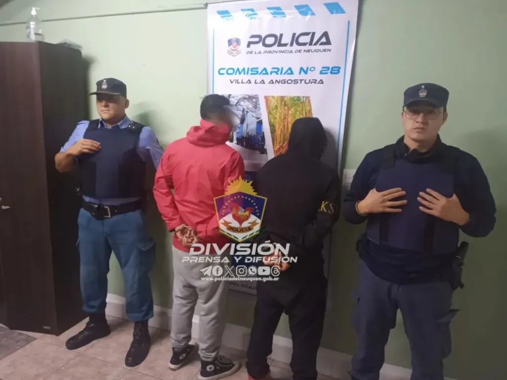  Demoraron a dos chilenos que sustrajeron elementos de un automóvil 