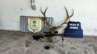 Villa Traful: Personal policial demoró a un sujeto por caza furtiva