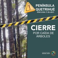 PN cerró  senderos en Península Quetrihué por caída de árboles 