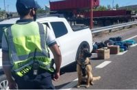 Tres angosturenses fueron detenidos en la Ruta 22 con medio kilo de Marihuana