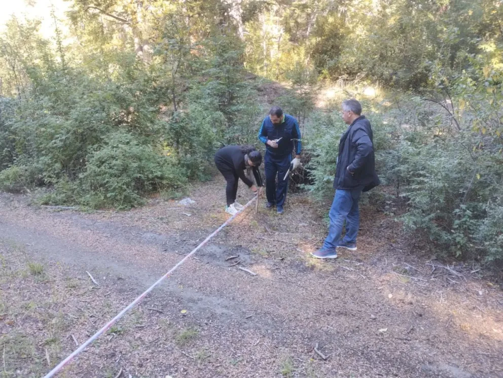 Tensión en el Belvedere cuando integrantes de la comunidad Mapuche levantaron una demarcación de un terreno