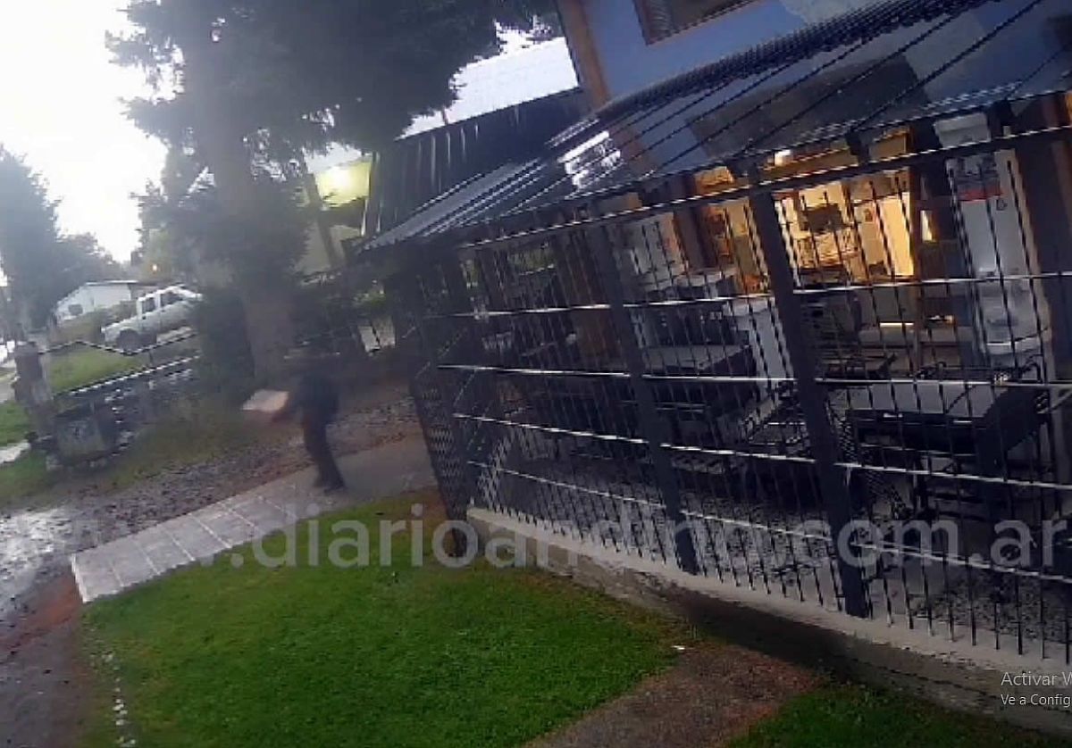 Robó un calefactor de una casa de artículos para el hogar y se fue tranquillo caminando (Video)