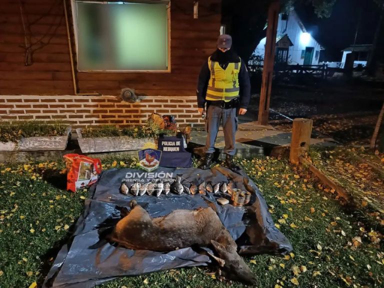 Policía del puesto Nahuel Huapi detuvo a cazadores furtivos con un ciervo y truchas thumbnail
