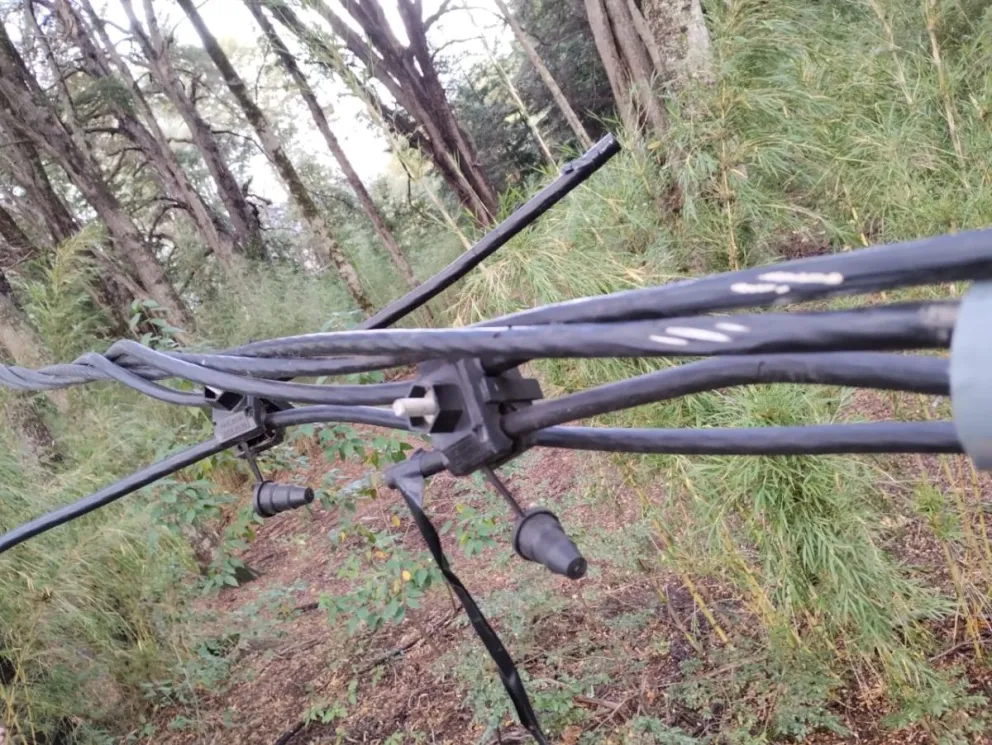 Robo de electricidad: particulares advierten la peligrosidad de las conexiones de la comunidad Paisil Antriao