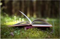 “Un nuevo otoño nos encuentra sumergidos entre las hojas de los libros que nos llevan a los mejores lugares”