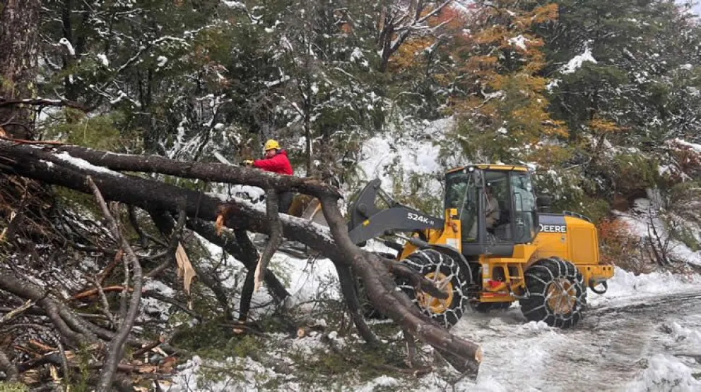 Después de la nevada, Parques avanza con la puesta a punto de los senderos