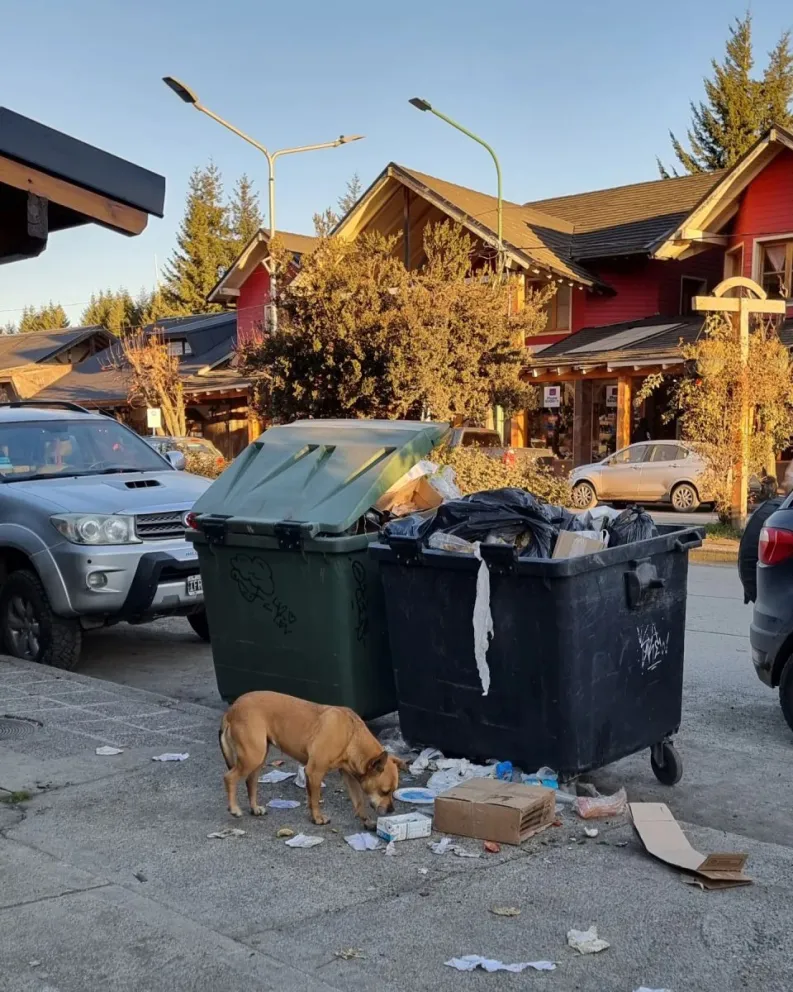 Se hace sentir el paro de los trabajadores de la basura