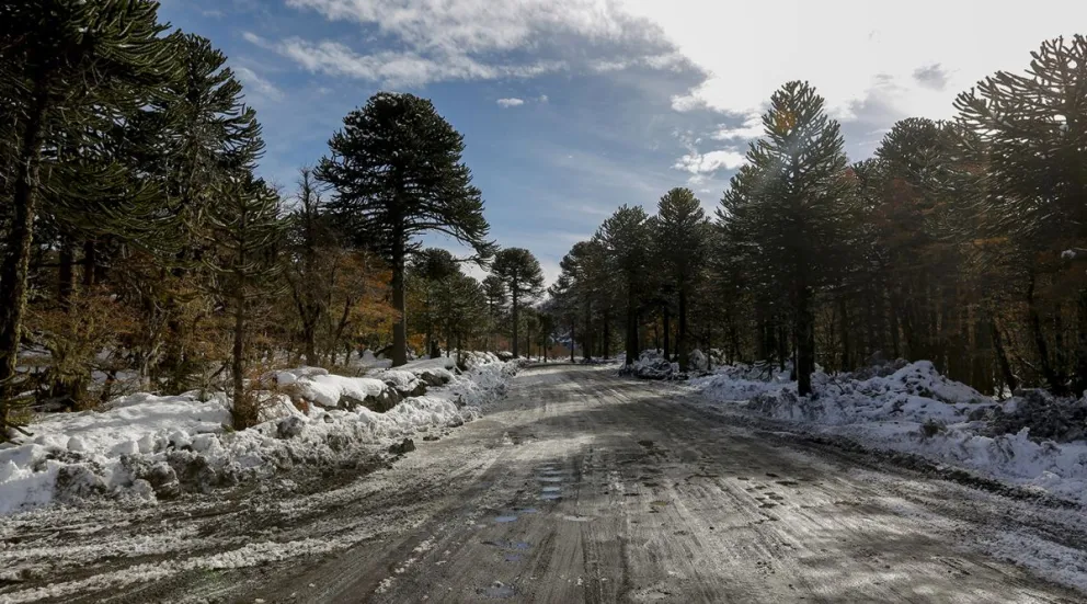 Evaluaron las rutas en las que se realizarán inversiones: el paso Mamuil Malal es uno de los puntos en estudio