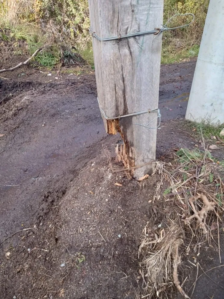 Clic Urbano: una vecina alertó sobre el peligro que revierte una columna del tendido eléctrico