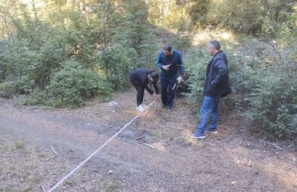 Farmetano: “vamos a continuar con los trabajos encomendados por la familia Salamida”