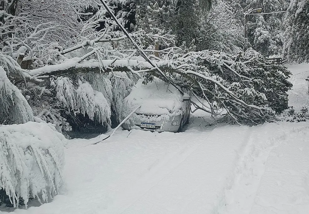 Belleza paisajística y trastornos: una fuerte nevada azota a Villa la Angostura