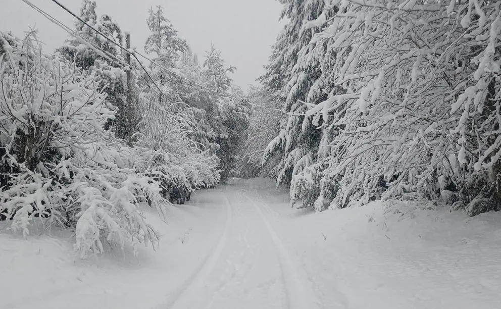 Según los pronósticos, la próxima semana la Patagonia podría registrar las temperaturas más frías