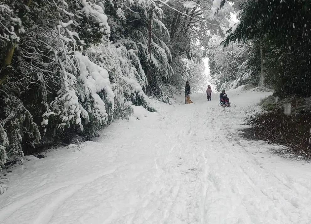 "Whisky en las rocas o aerosillas hasta la anónima, señor intendente?"