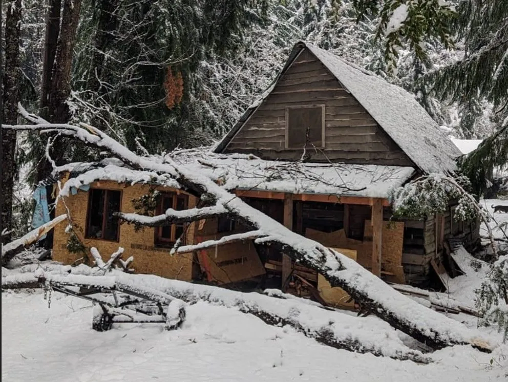 Capilla de la Asunción pide colaboración luego de que un coihue destruyera parte del Hogar