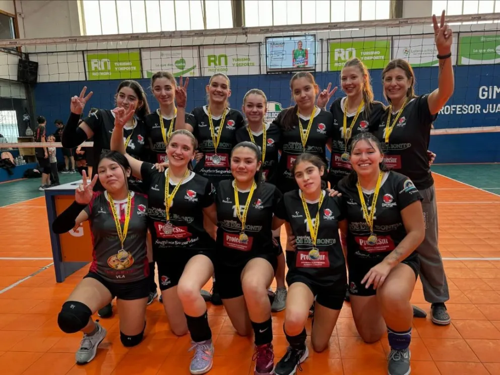 Las sub 16 de Carpinteros del Sur se consagraron subcampeonas del vóley regional