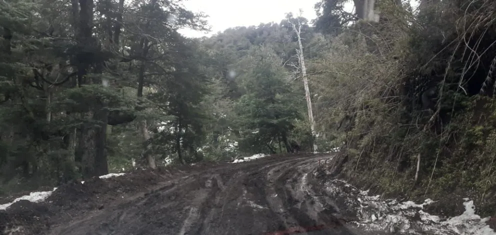 Clic Urbano: “la Ruta a Villa Traful está intransitable”