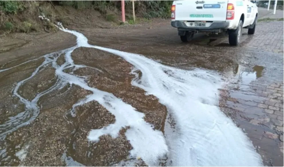 La Jueza de Faltas explicó detalles del proyecto que busca frenar excepciones urbanísticas a infractores ambientales