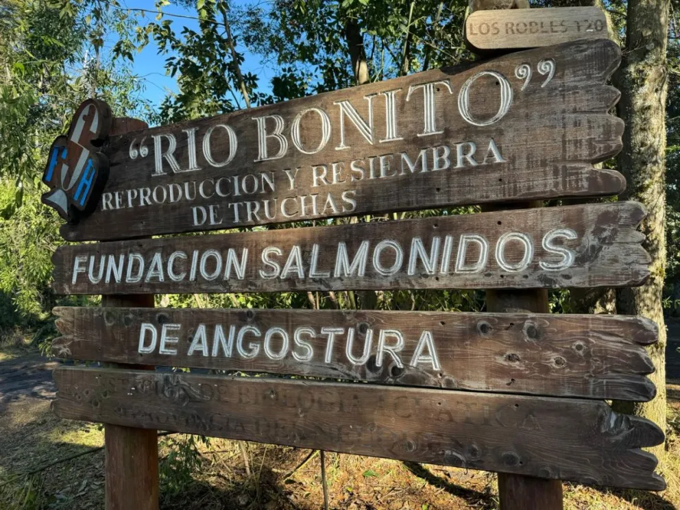Lanzaron una campaña de firmas para recuperar la Fundación Salmónidos: cómo participar 